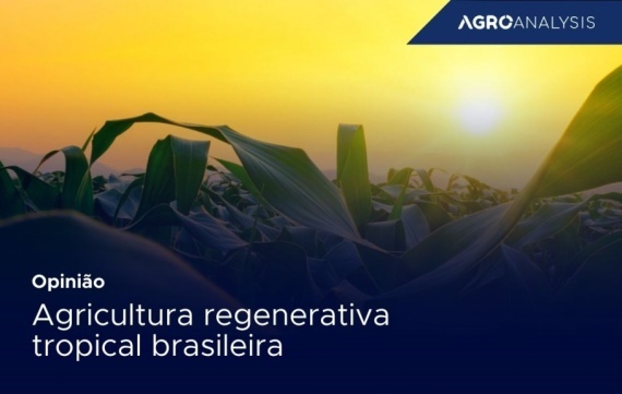 Agricultura regenerativa tropical brasileira