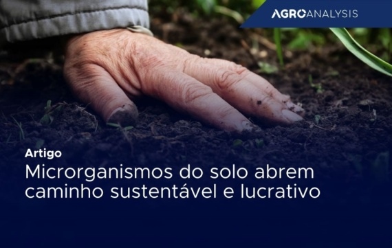 Microrganismos do solo abrem caminho sustentável e lucrativo