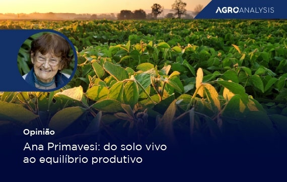 Ana Primavesi: do solo vivo ao equilíbrio produtivo