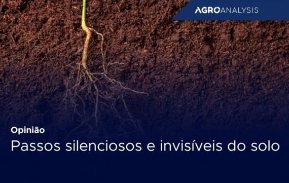 Passos silenciosos e invisíveis do solo