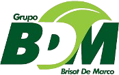 Grupo BDM